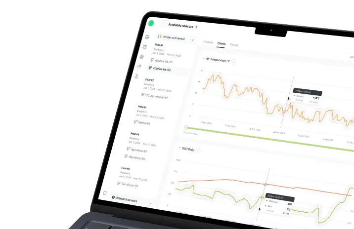 Web Platform