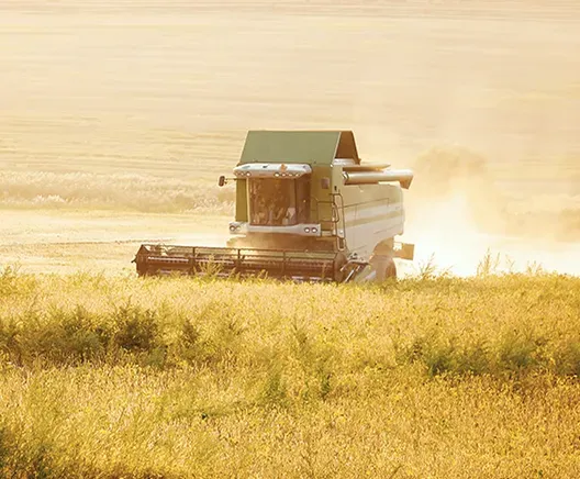 Agrarholdings