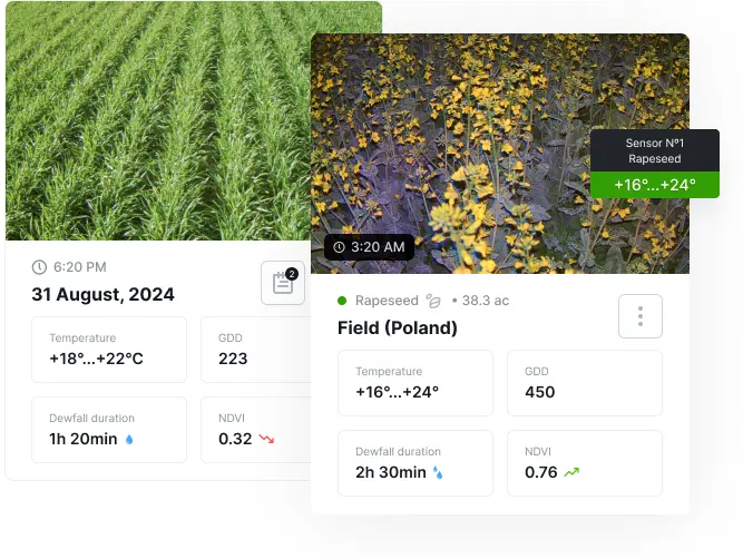 Wetterdaten in Echtzeit
