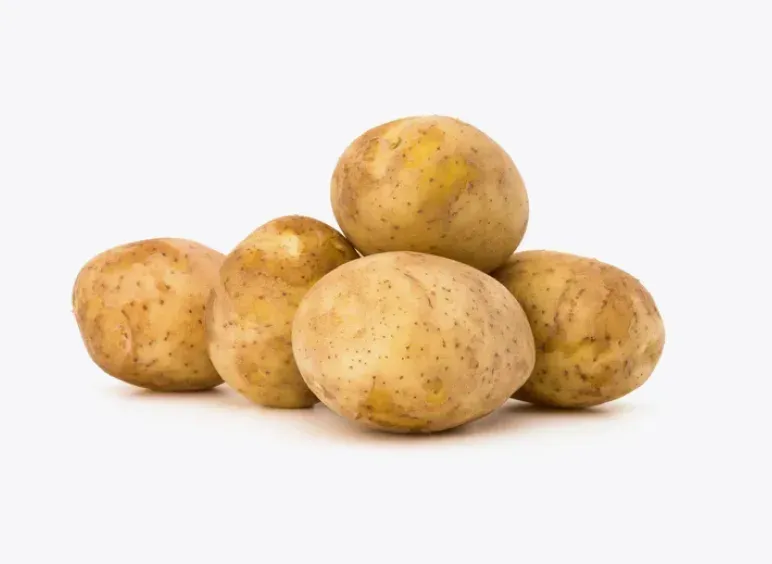 Руссет