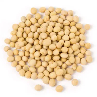 Soja amarilla