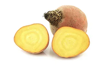 <strong>Golden Beets</strong>: <br>Golden-yellow beets; sweeter and softer when cooked compared to red beets.