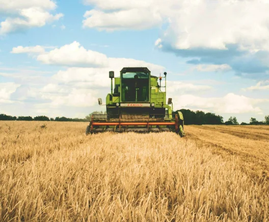 Agroholdings
