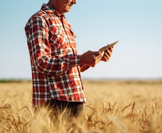 Agronomen und Pflanzenzüchter