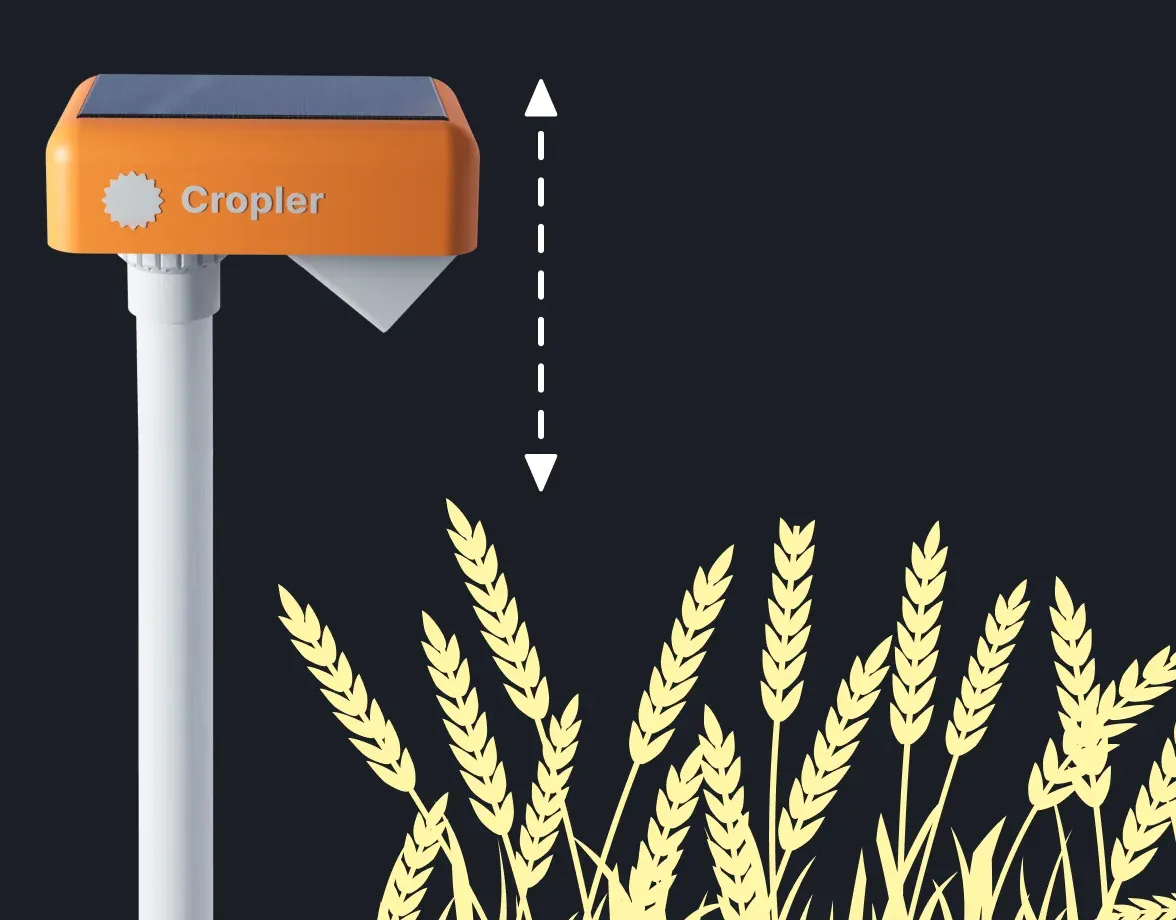 Cropler camera