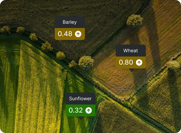 Reducing field scouting time by <strong>50%</strong>