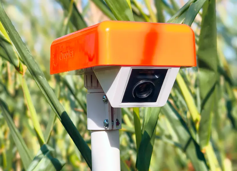 Real-time photo monitoring of&nbsp;plant health