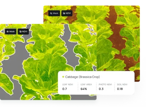 NDVI without background noise