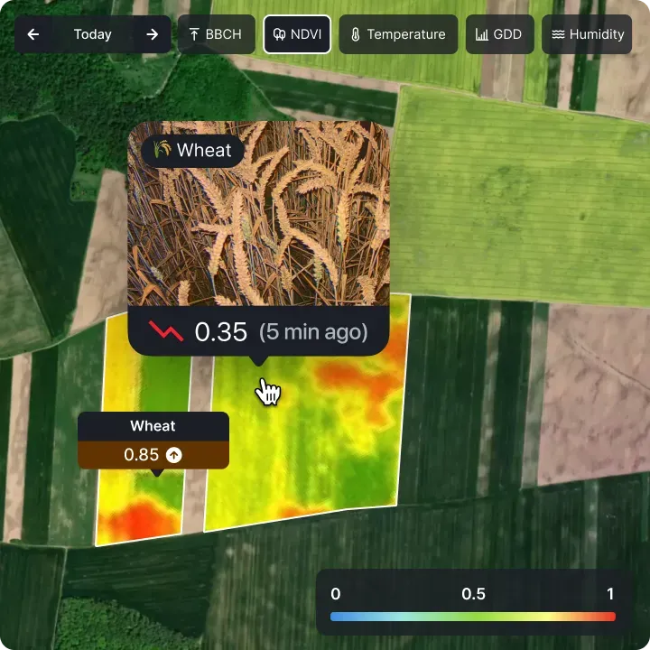 What Data You Get
