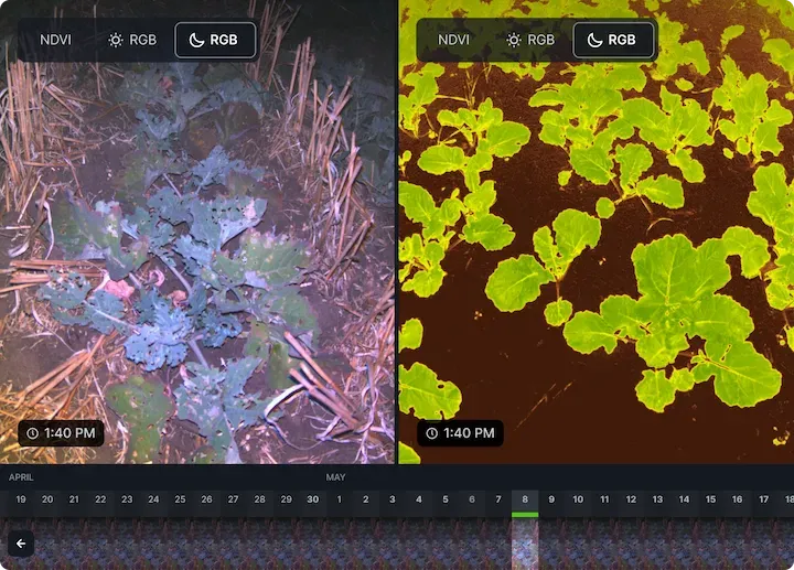 Real-Time Field Intelligence