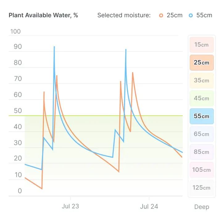Actionable Insights, Not Just Numbers